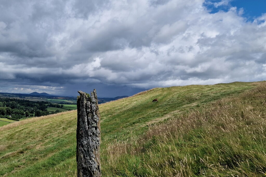 weathered by christophercox