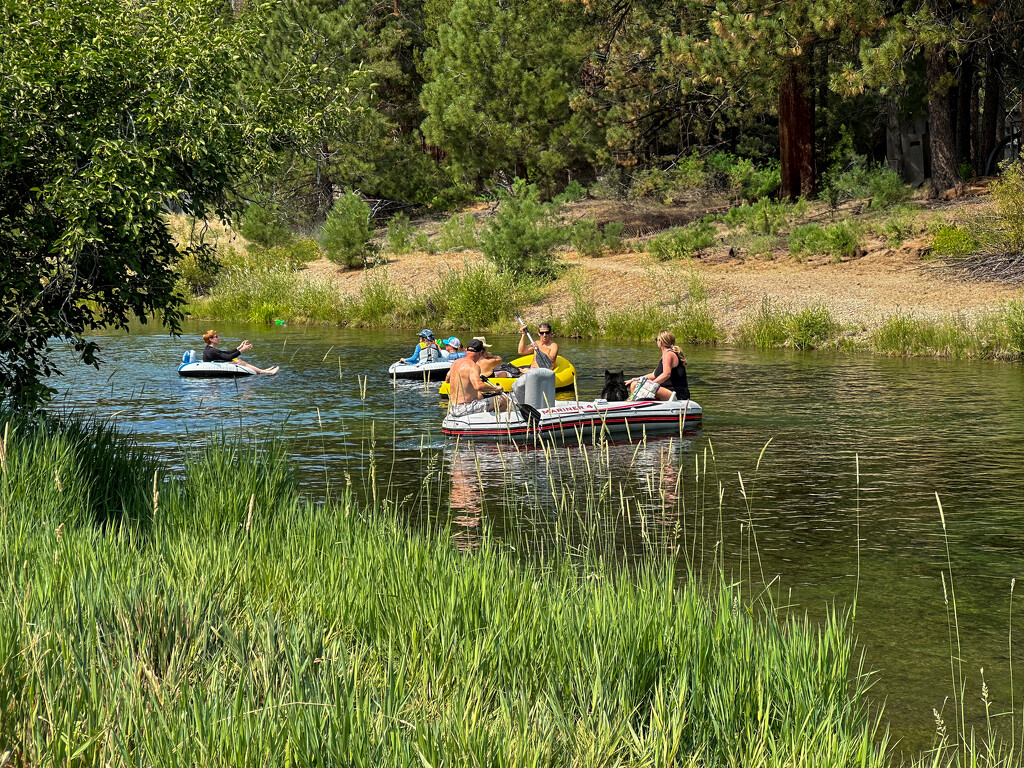 Beautiful Day on the Truckee by shutterbug49