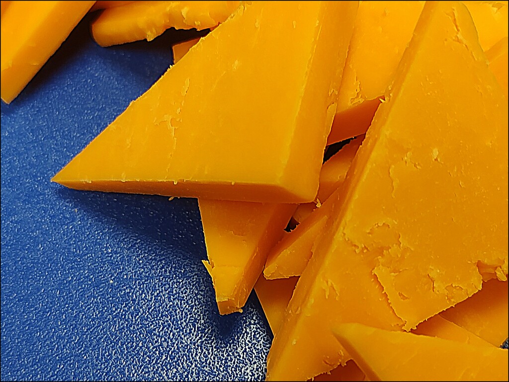 Cheddar on Blue by olivetreeann