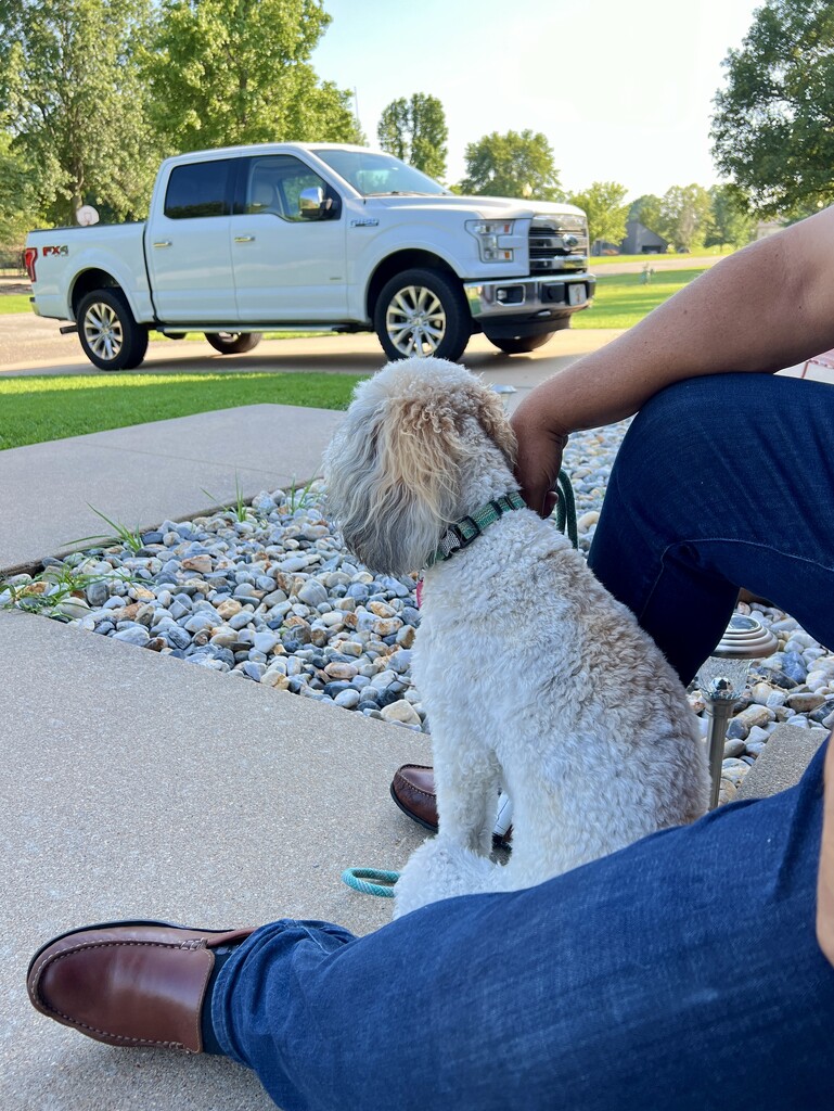 Man and His Dog by 2022julieg