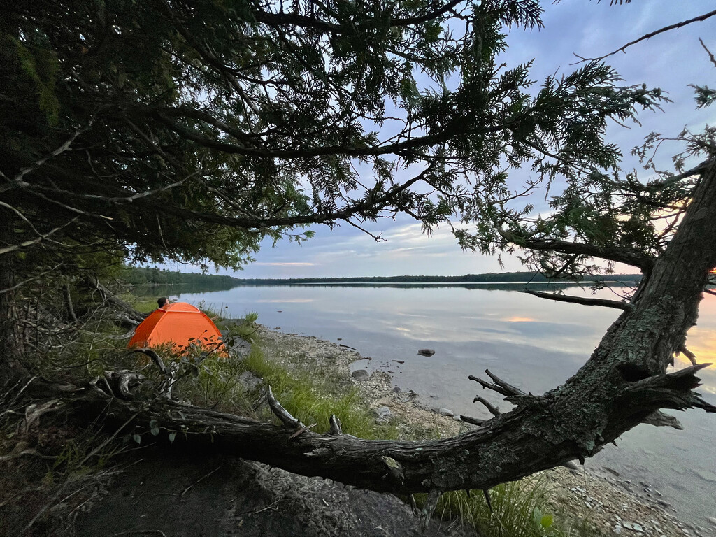 Camping With a View by pdulis