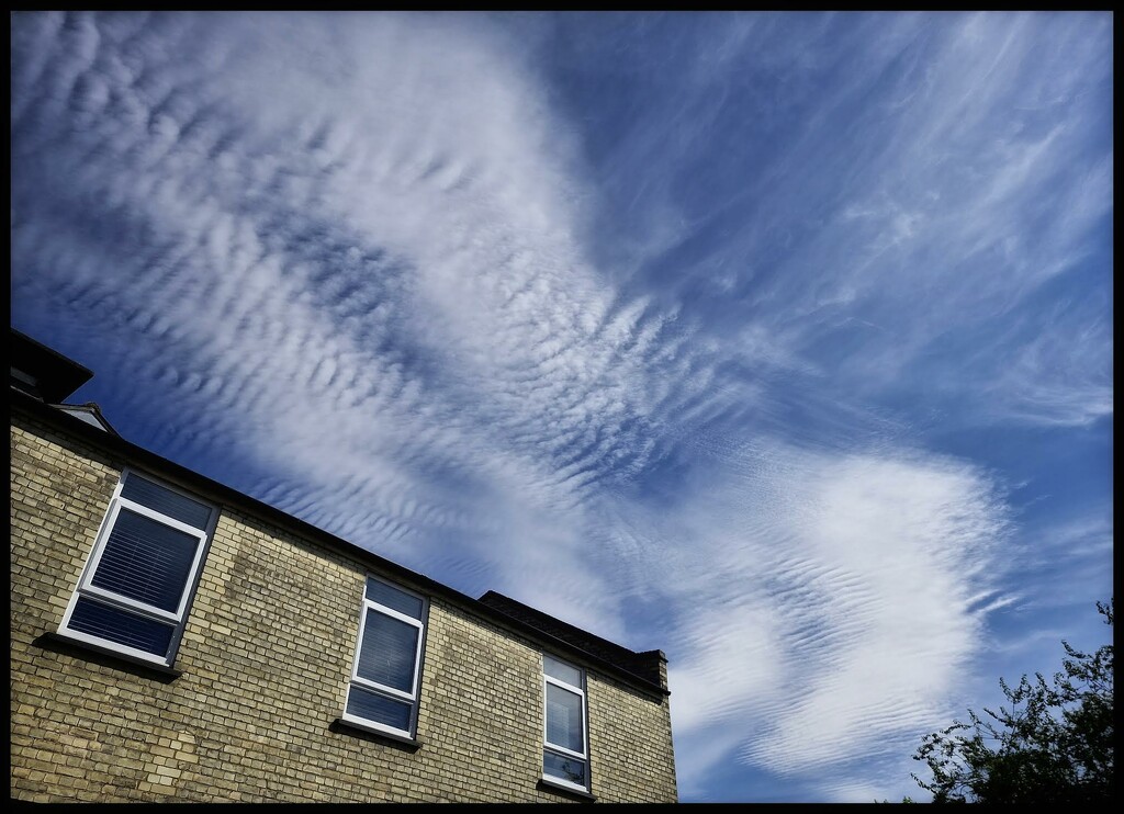 Mackerel skies by blightygal