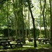 Gisborough Priory, Picnic Area by fishers