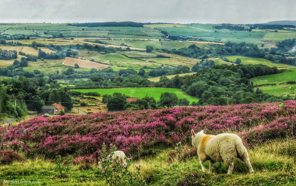 Moorland edge by craftymeg