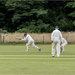 Cricket action by pcoulson