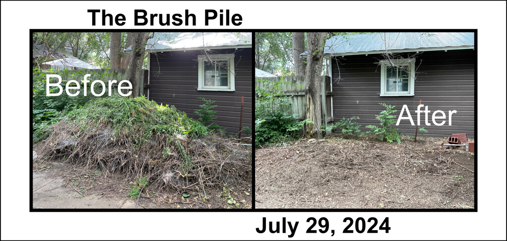 Brush Pile by mcsiegle