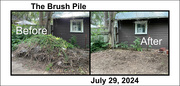 29th Jul 2024 - Brush Pile