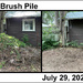 Brush Pile by mcsiegle