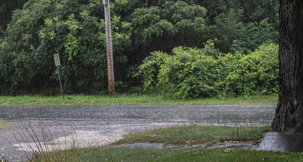 Downpour by darchibald