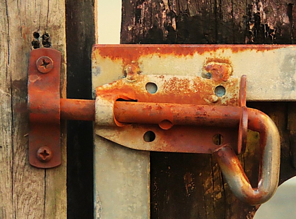   A Rusty Gate Bolt ~  by happysnaps