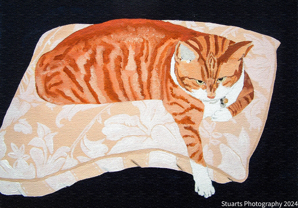 Cat Monty (painting) by stuart46