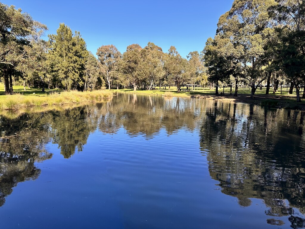 Parramatta Park by kjarn