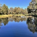 Parramatta Park by kjarn