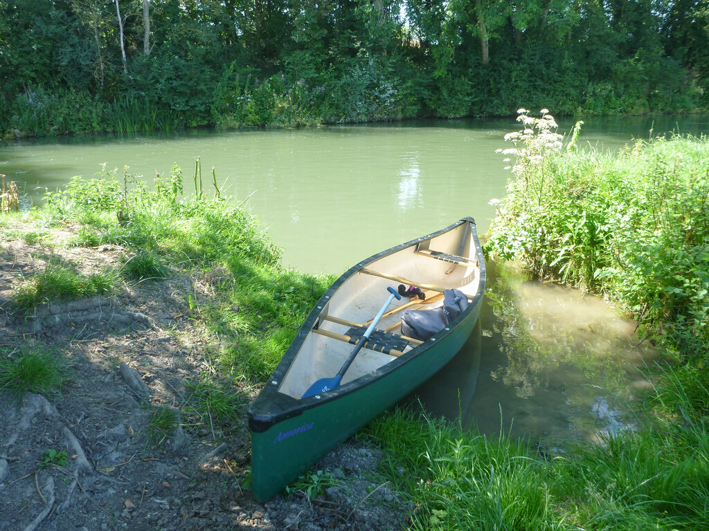 Thames paddle by plebster