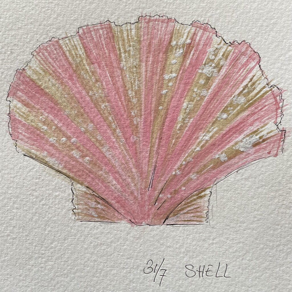 Shell by jacqbb