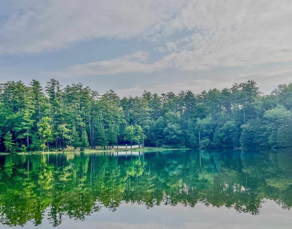 Beaver Pond - Another View by corinnec