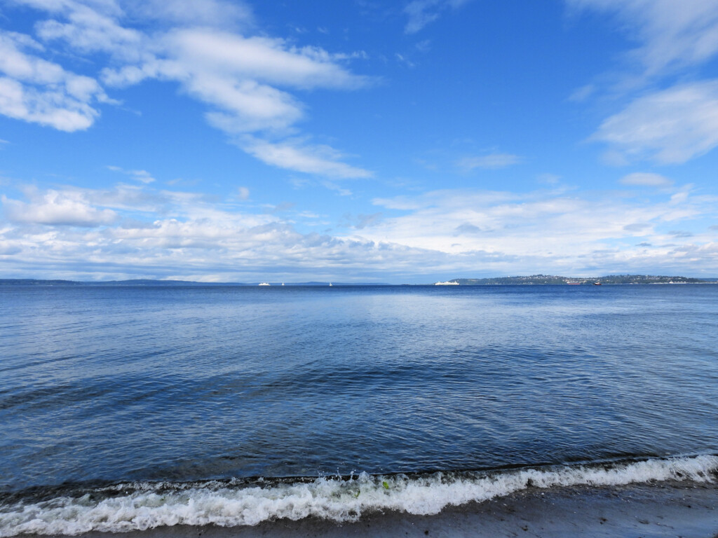 Alki Beach by seattlite