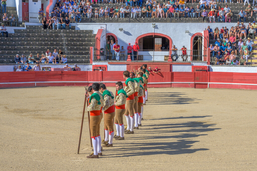 Forcados Portugueses (II) by augusto