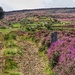 Commondale Moor by craftymeg