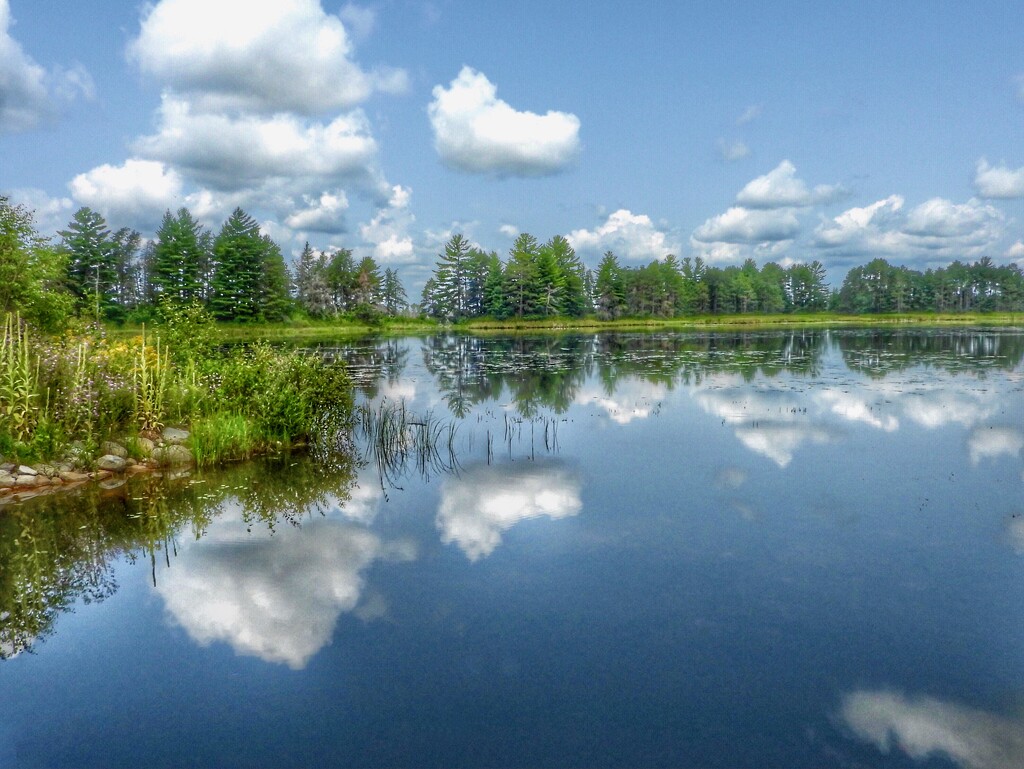 refuge reflections by amyk