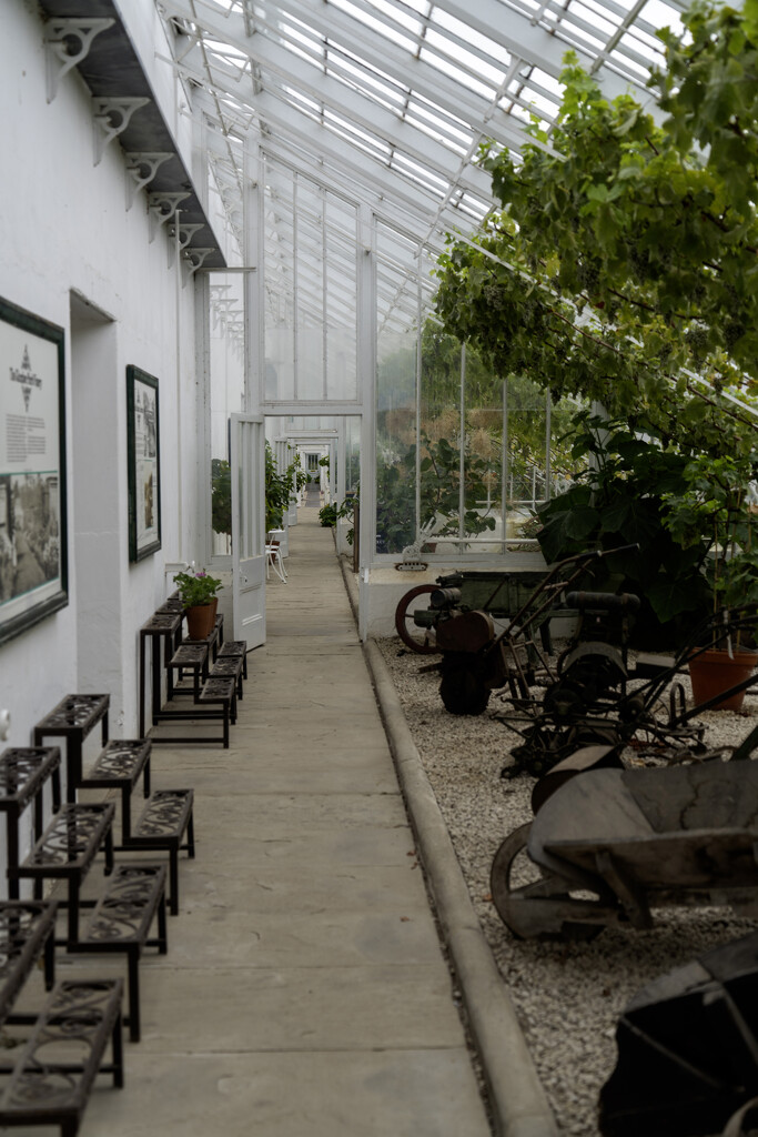 Along the Greenhouse by pcoulson