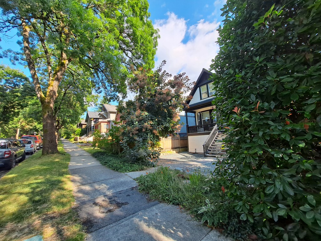 Our Airbnb Street by yaorenliu