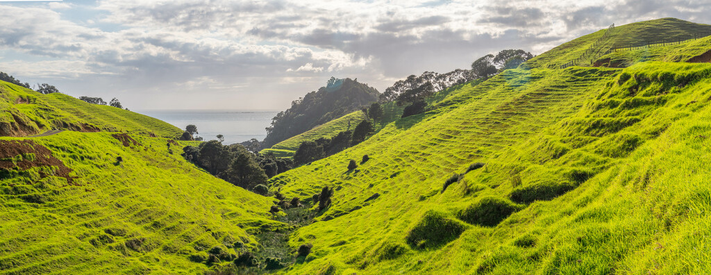 Farm Pano by christinav