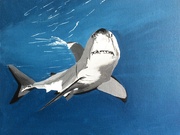 1st Aug 2024 - Shark (painting)