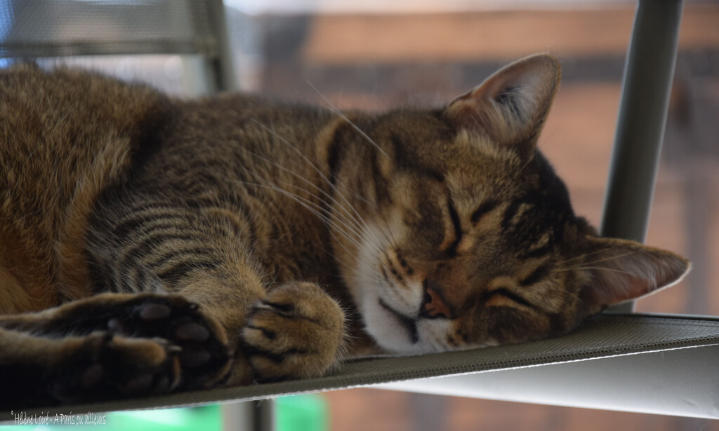 nap under the table by parisouailleurs