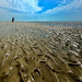 Hubby on the Sandbank by wakelys