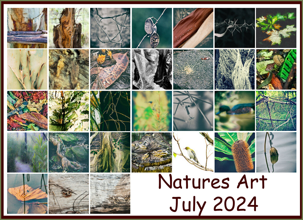 Natures Art July 2024 Collage by annied