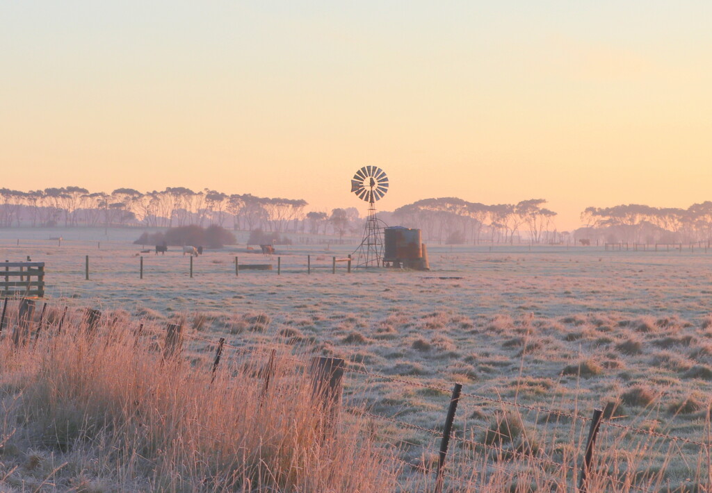 A frosty morning by gilbertwood