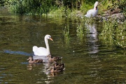 1st Aug 2024 - By the river