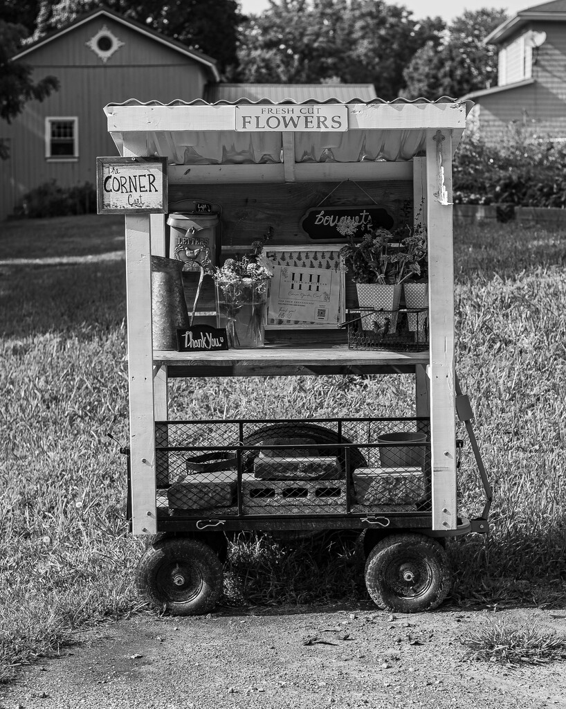 Flower Cart by darchibald