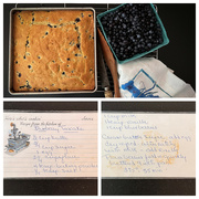 1st Aug 2024 - August is for Blueberries