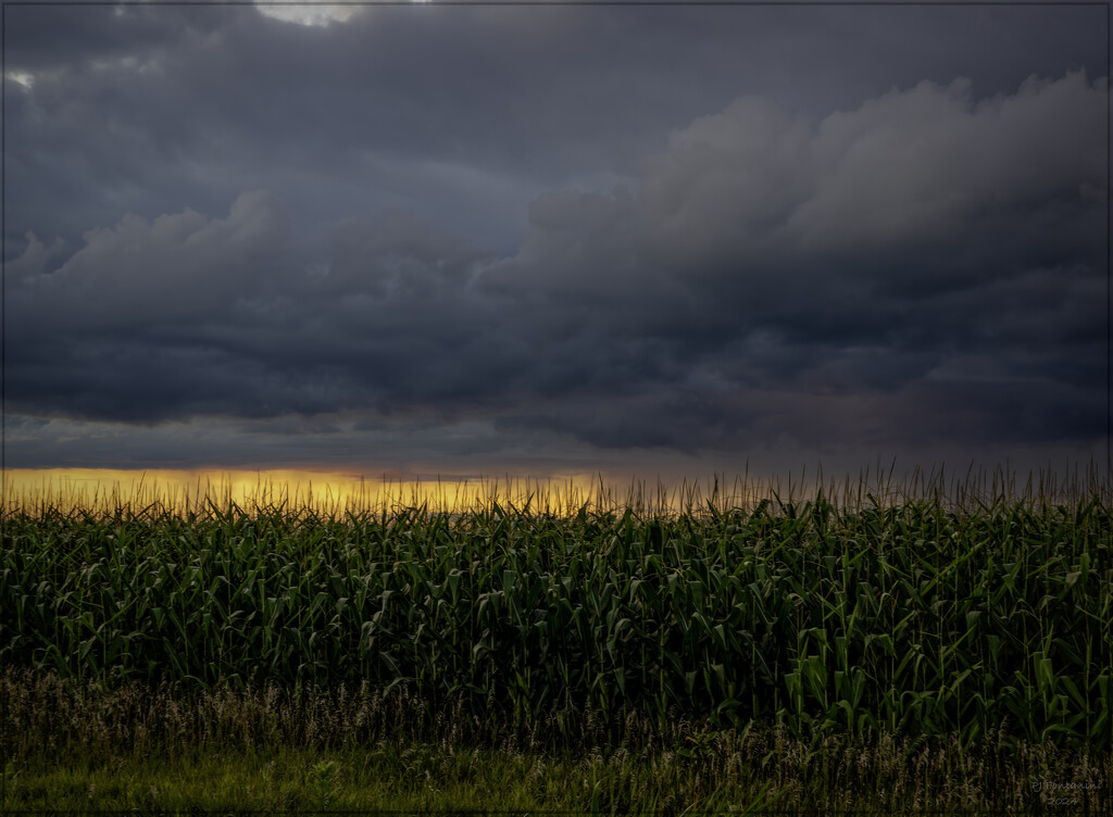 Welcome to Iowa by bluemoon