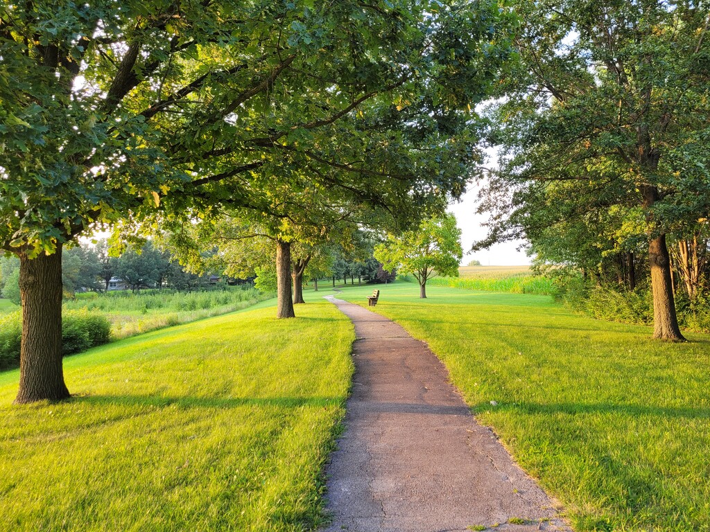 A walk in the park by scoobylou