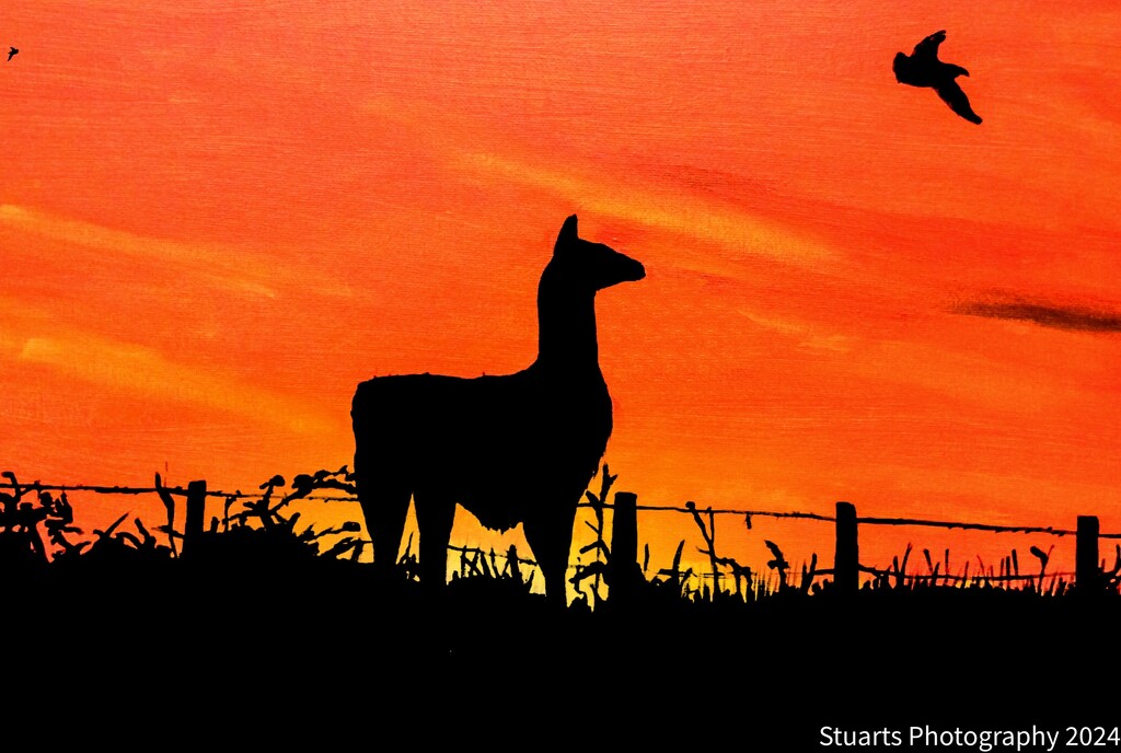 Llama (painting) by stuart46