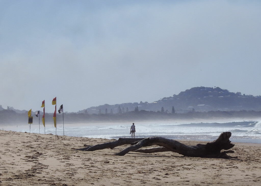 Mudjimba Beach by jeneurell