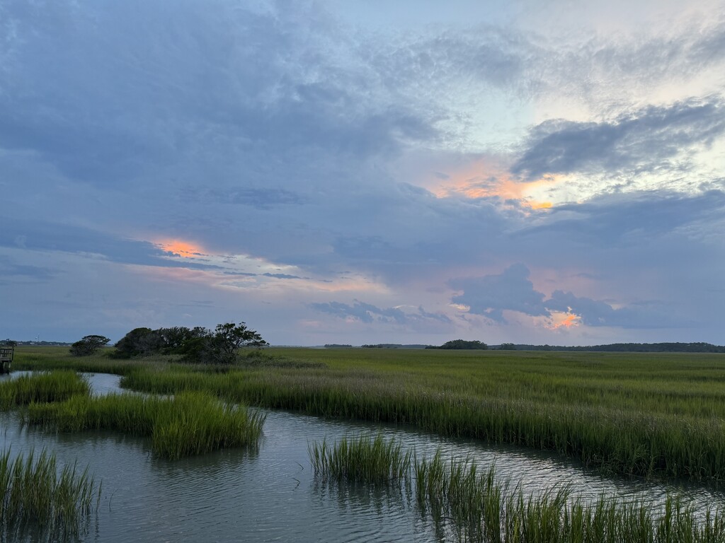 Marsh sunset by congaree