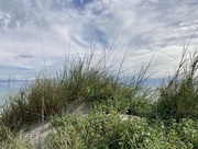 2nd Aug 2024 - At the Beach