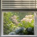 Open window weather (near the ocean) by tunia