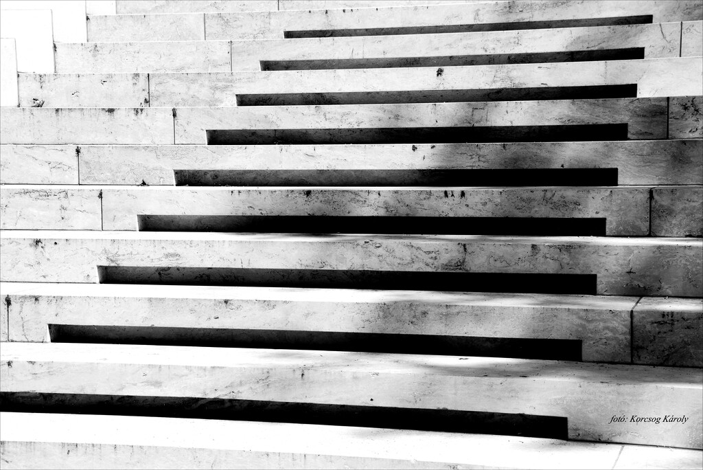 A flight of stairs by kork