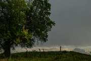 28th Jul 2024 - A Sliver of Cloudscape Above the Horizon