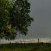 A Sliver of Cloudscape Above the Horizon by kareenking