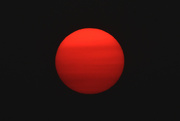 25th Jul 2024 - Crimson Globe