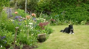 30th May 2012 - Bess