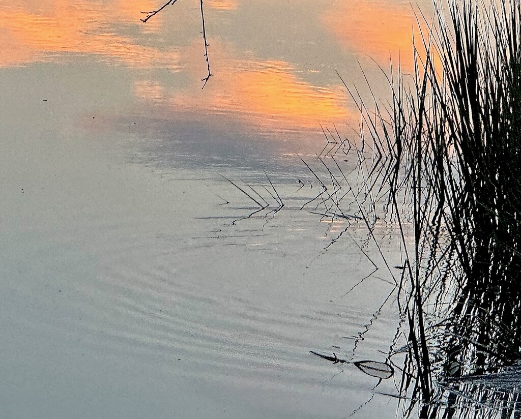 Tidal creek marsh sunset tranquility by congaree