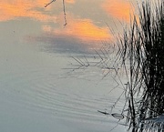 1st Aug 2024 - Tidal creek marsh sunset tranquility