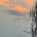 Tidal creek marsh sunset tranquility by congaree